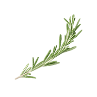Rosemary