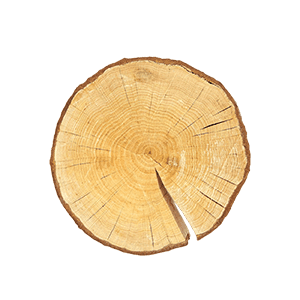 Brazilian Rosewood
