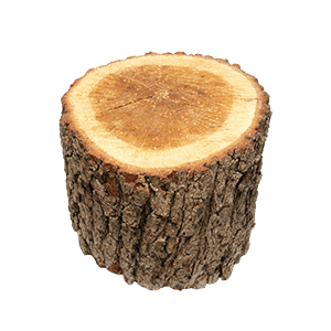 Oak