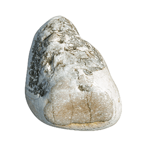 Ambergris