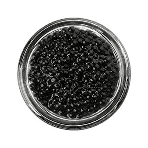 Caviar