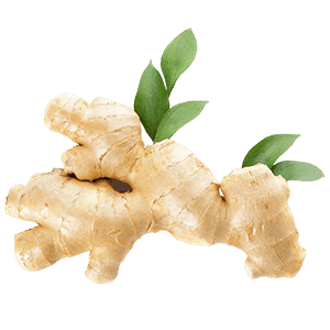 Ginger
