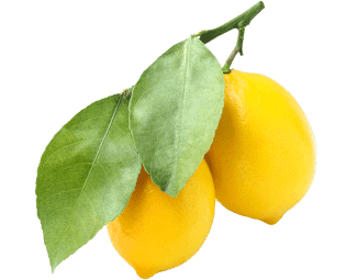 Amalfi Lemon