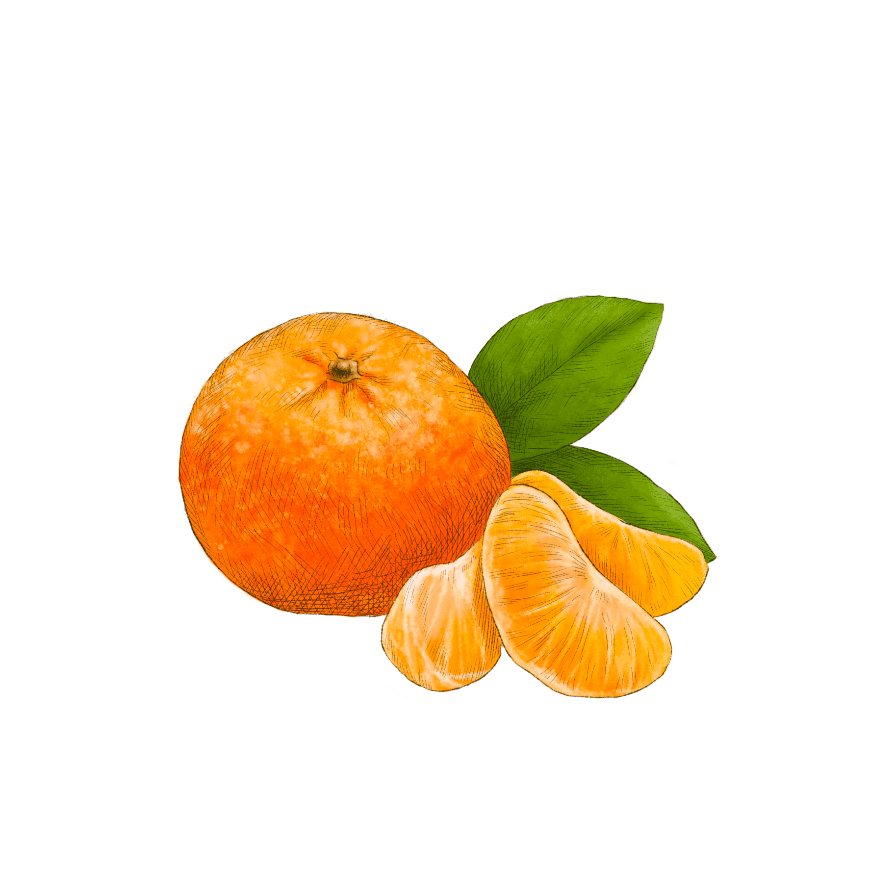Mandarin Orange