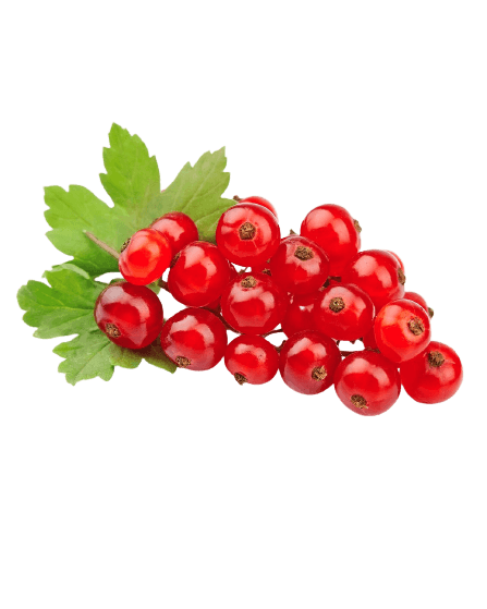 Red Currant