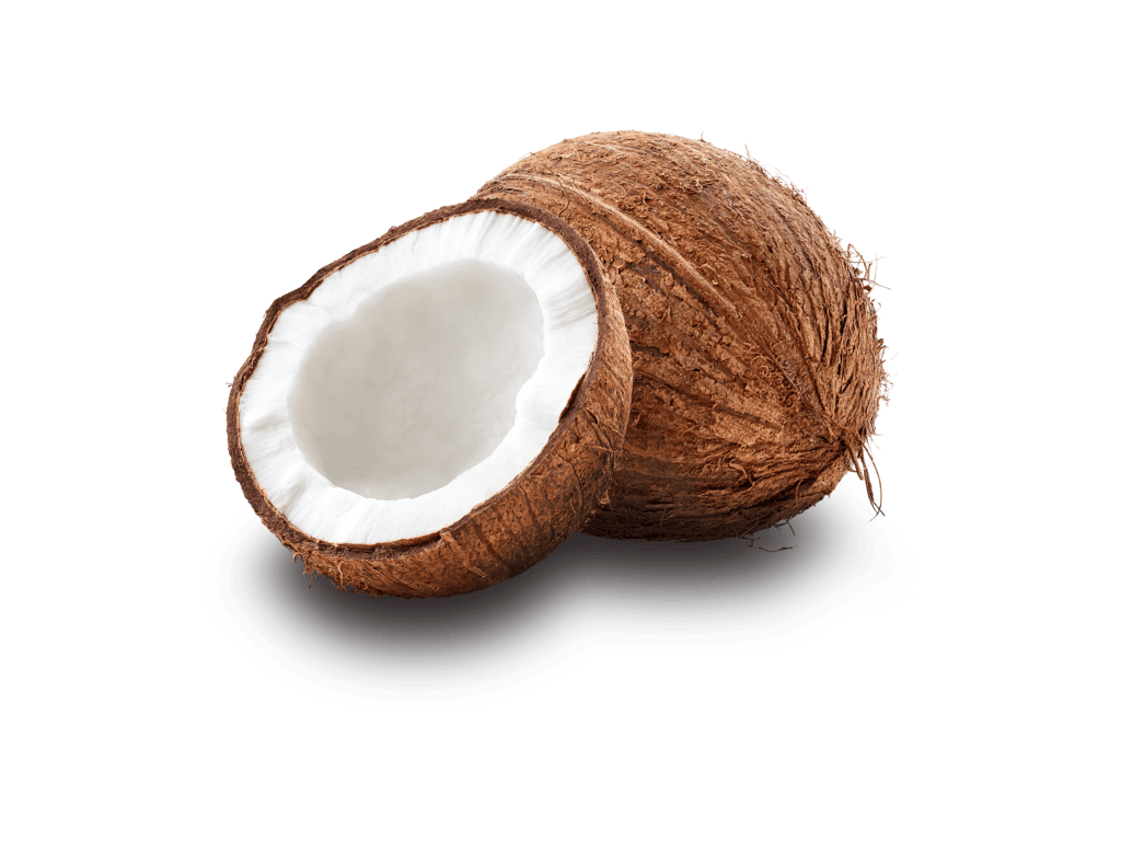 Coconut
