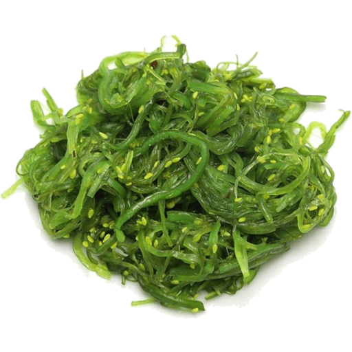 Seaweed