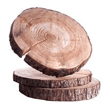 Woodsy Notes