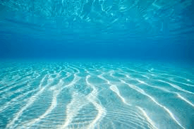 Sea Notes