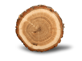 Cashmere Wood